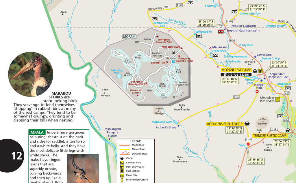Map of a safari park with various locations and information, including a close-up of a marabou stork.