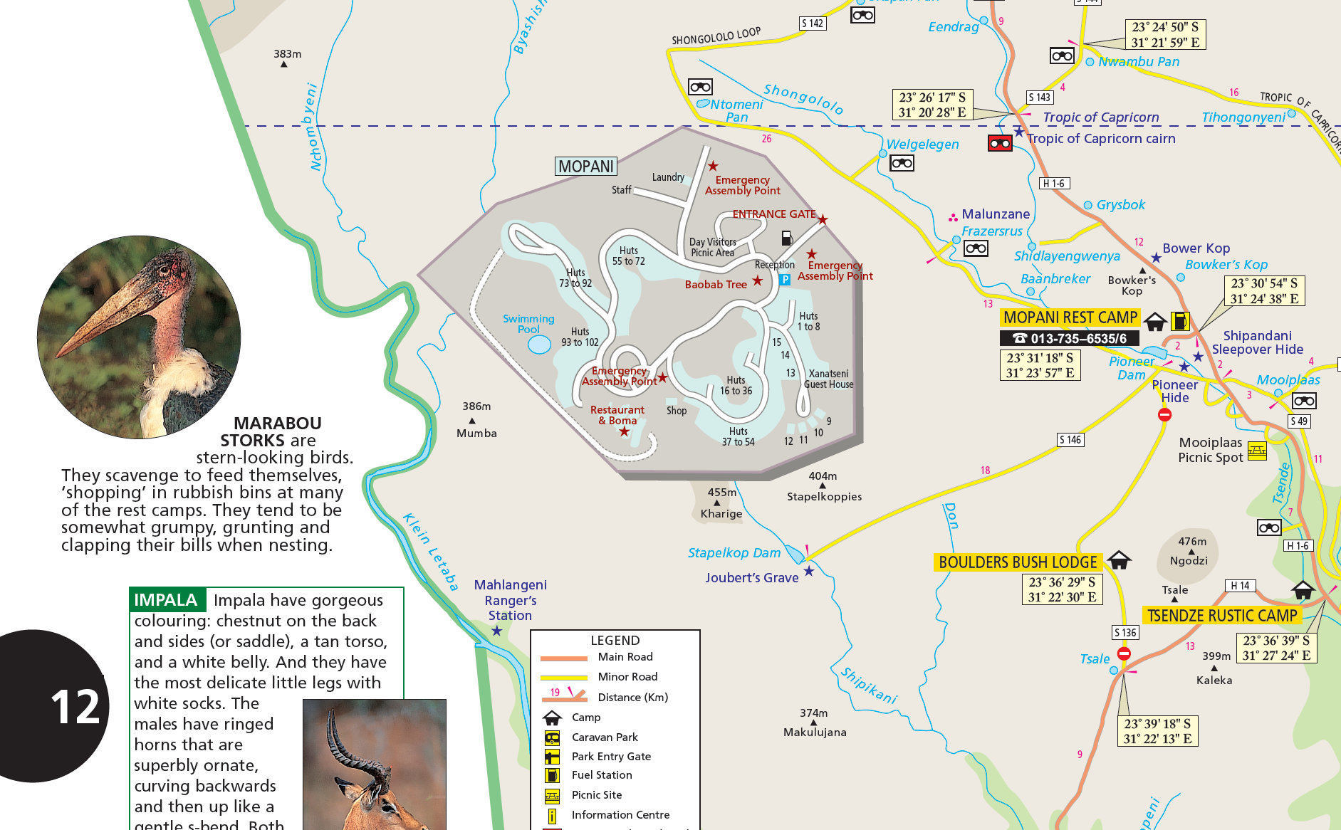 Map of a safari park with various locations and information, including a close-up of a marabou stork.