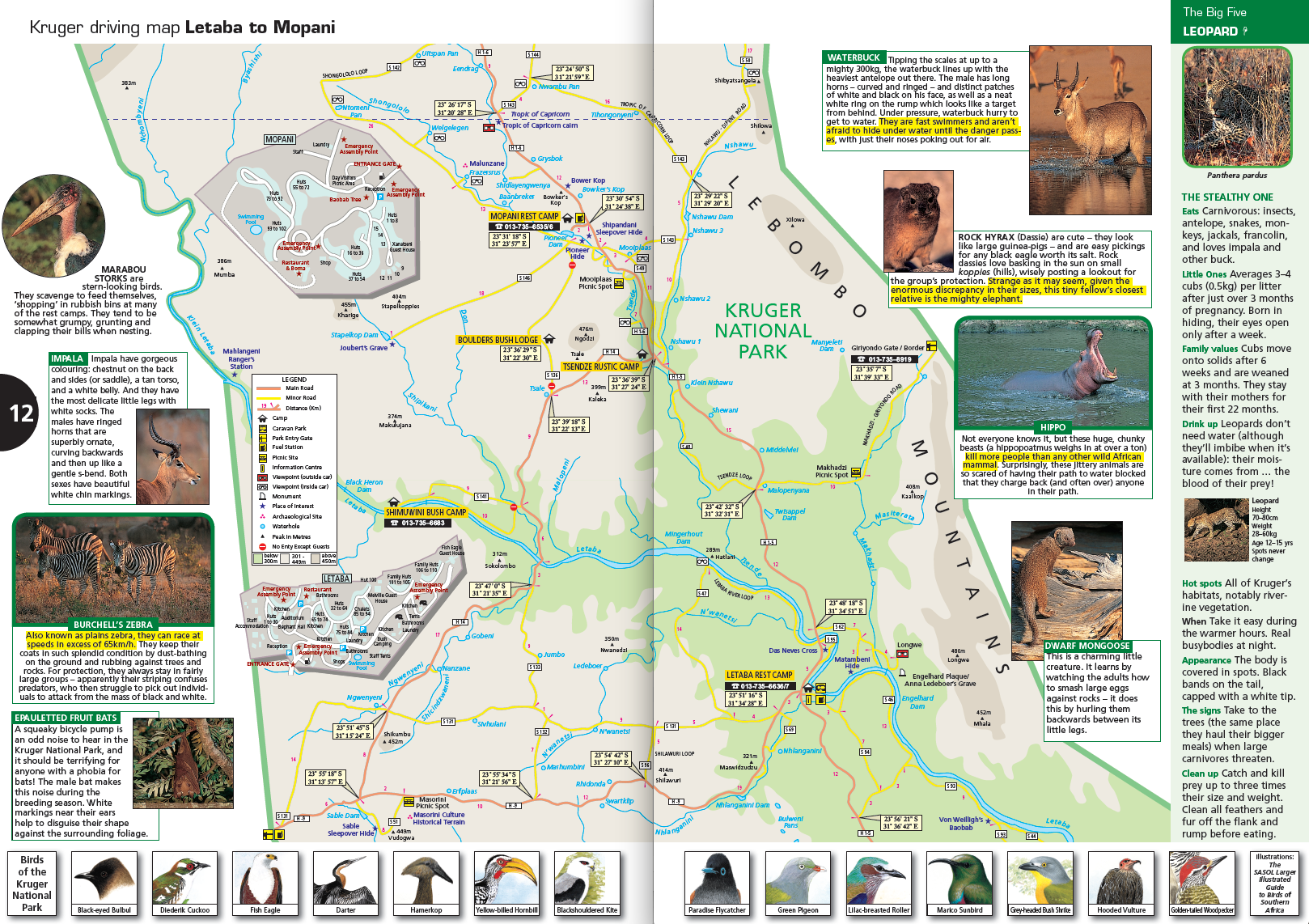 Map of Kruger National Park with driving directions and wildlife information.